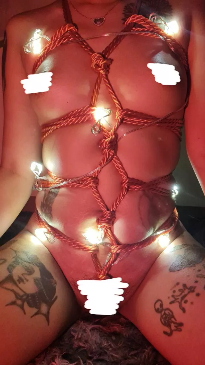 Shibari present 4 u 🎁