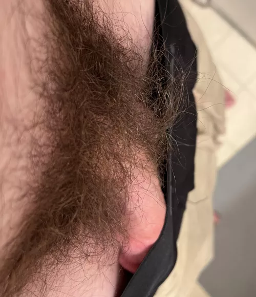 Since you all liked the last one so much, here’s a little tease 😉