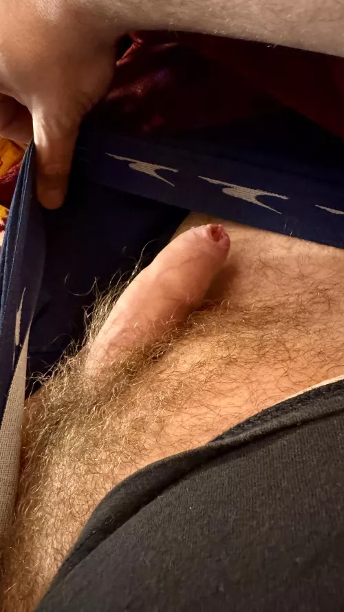 Small? 4.5 fully hard