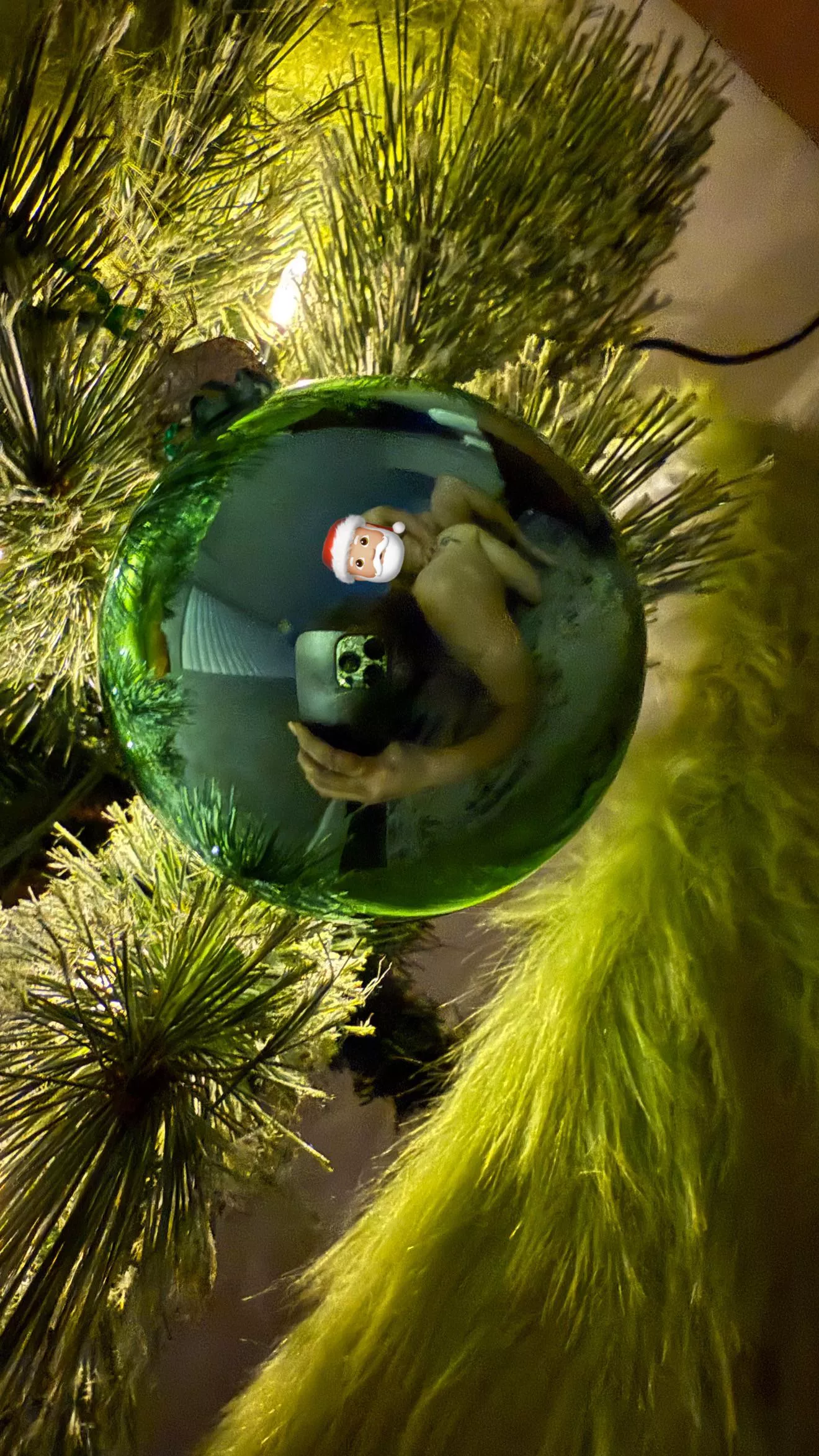 [Spokane Valley] Naughty wishes for Christmas 