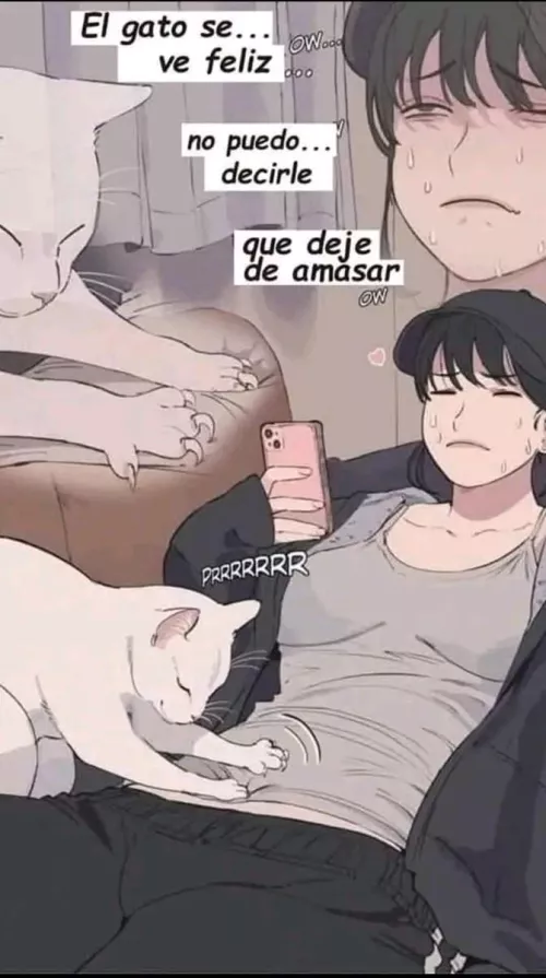 Stomach pain by a cat