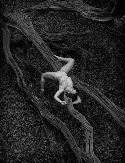 Stretching on a fallen tree