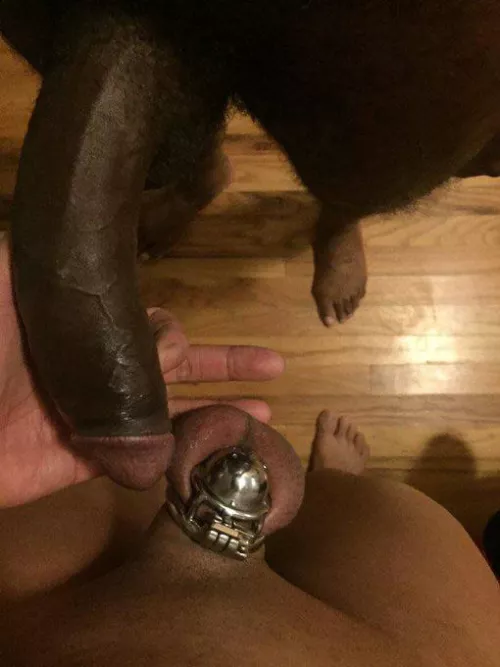 THIS is why your addicted to BBC ♠️ 🐂 🐷🧎‍♂️