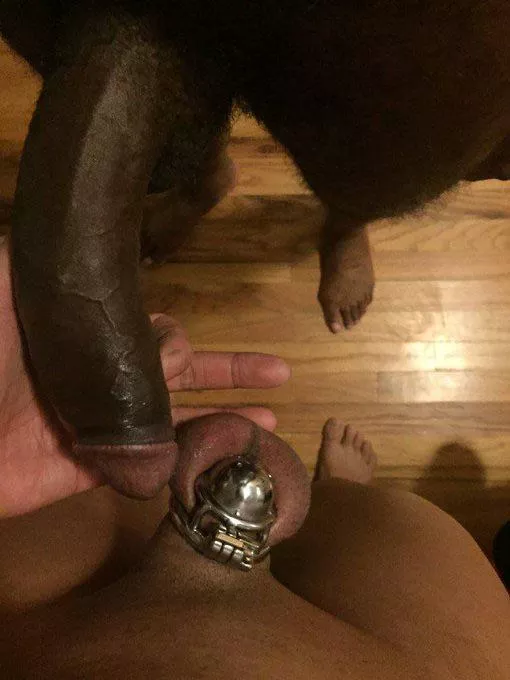 THIS is why your addicted to BBC ♠️ 🐂 🐷🧎‍♂️