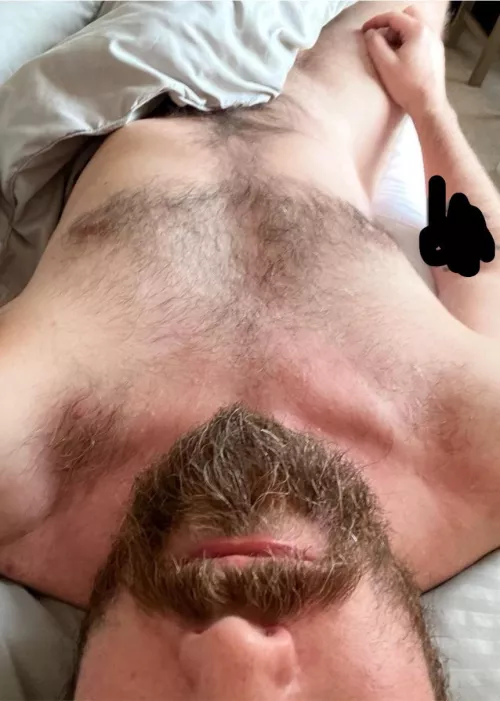 Want to stay in bed all day?