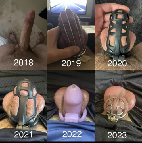 “We only need one cock in this relationship”