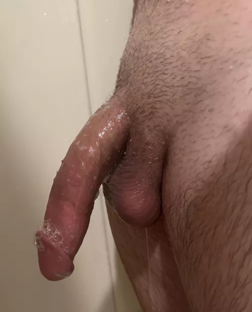 What are your thoughts 