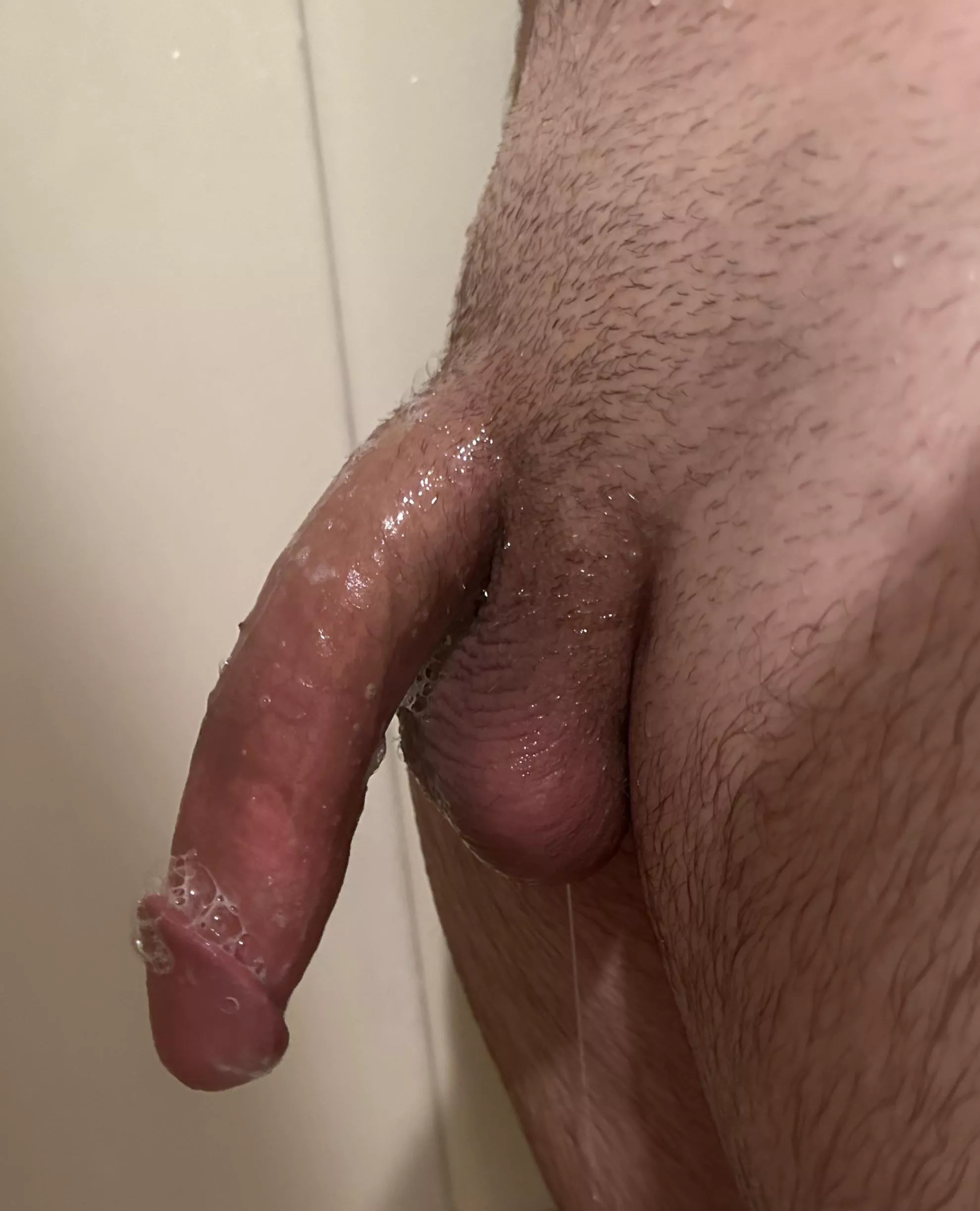 What are your thoughts 