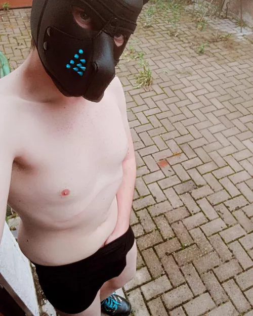 What do you will do whit me.... And what should i post as next? 