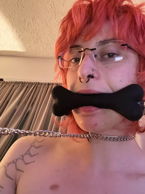 what would u do to a bad dog like me?  [OC]