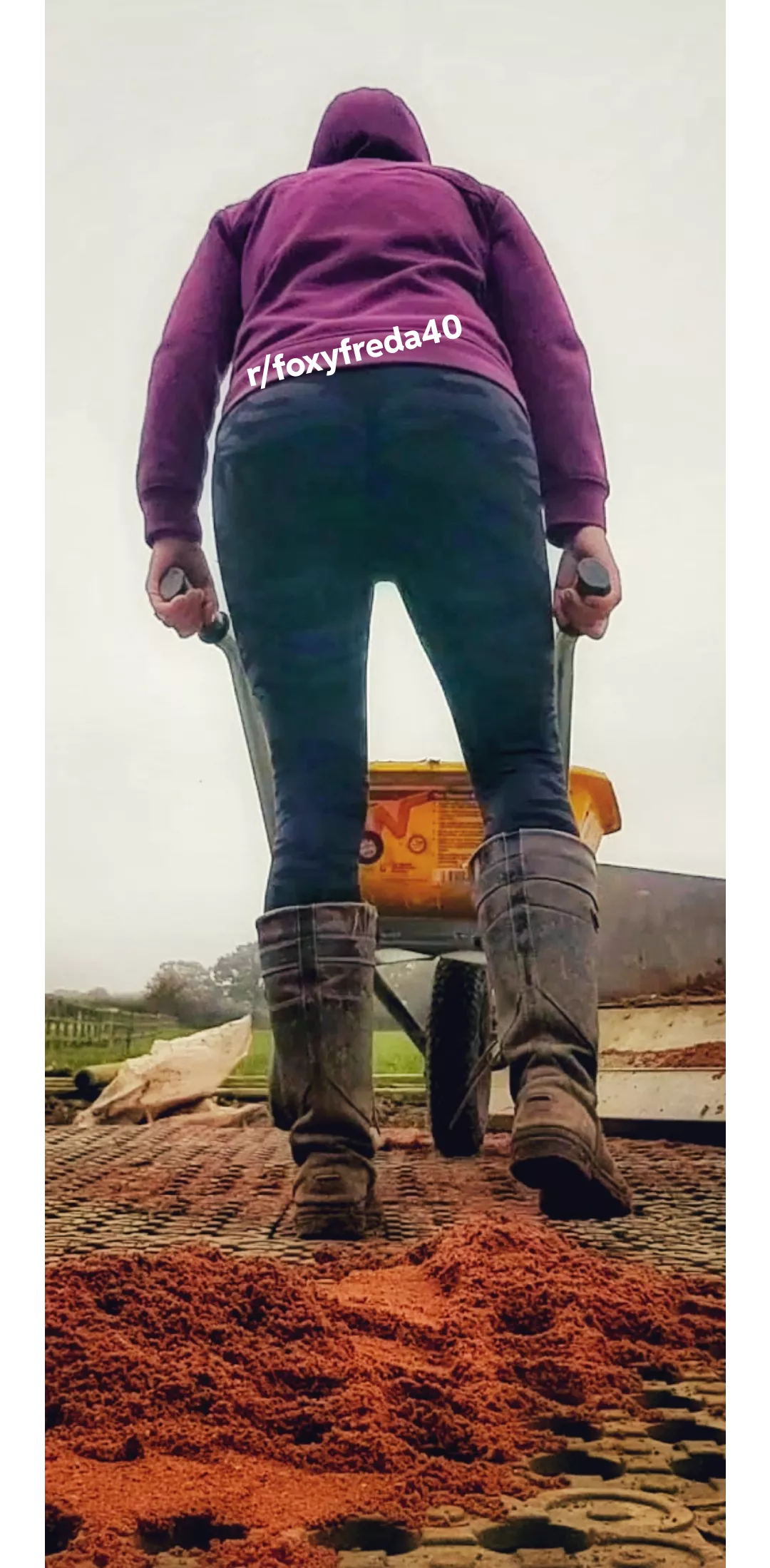 You can either bend me over the barrow or I can sit can your face