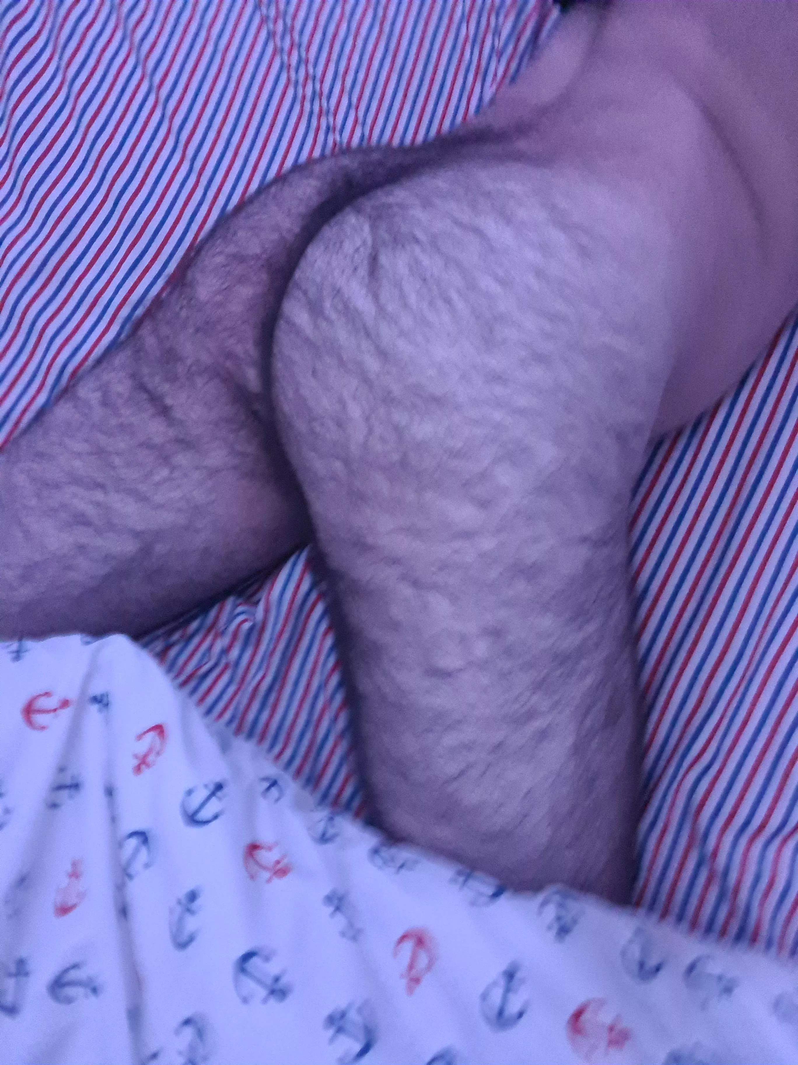 You like my hairy teen ass