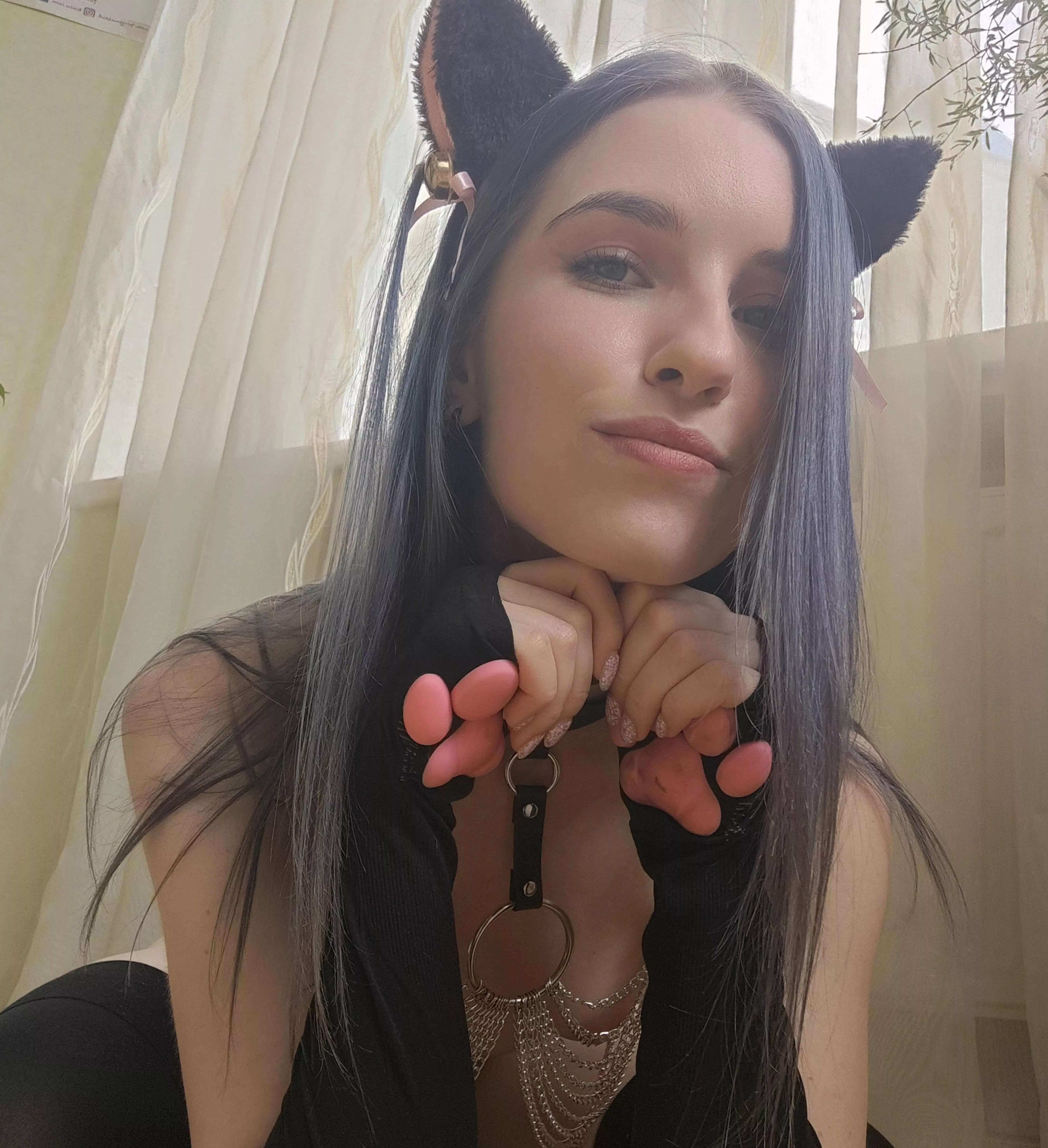 your sweet kitten will behave obediently