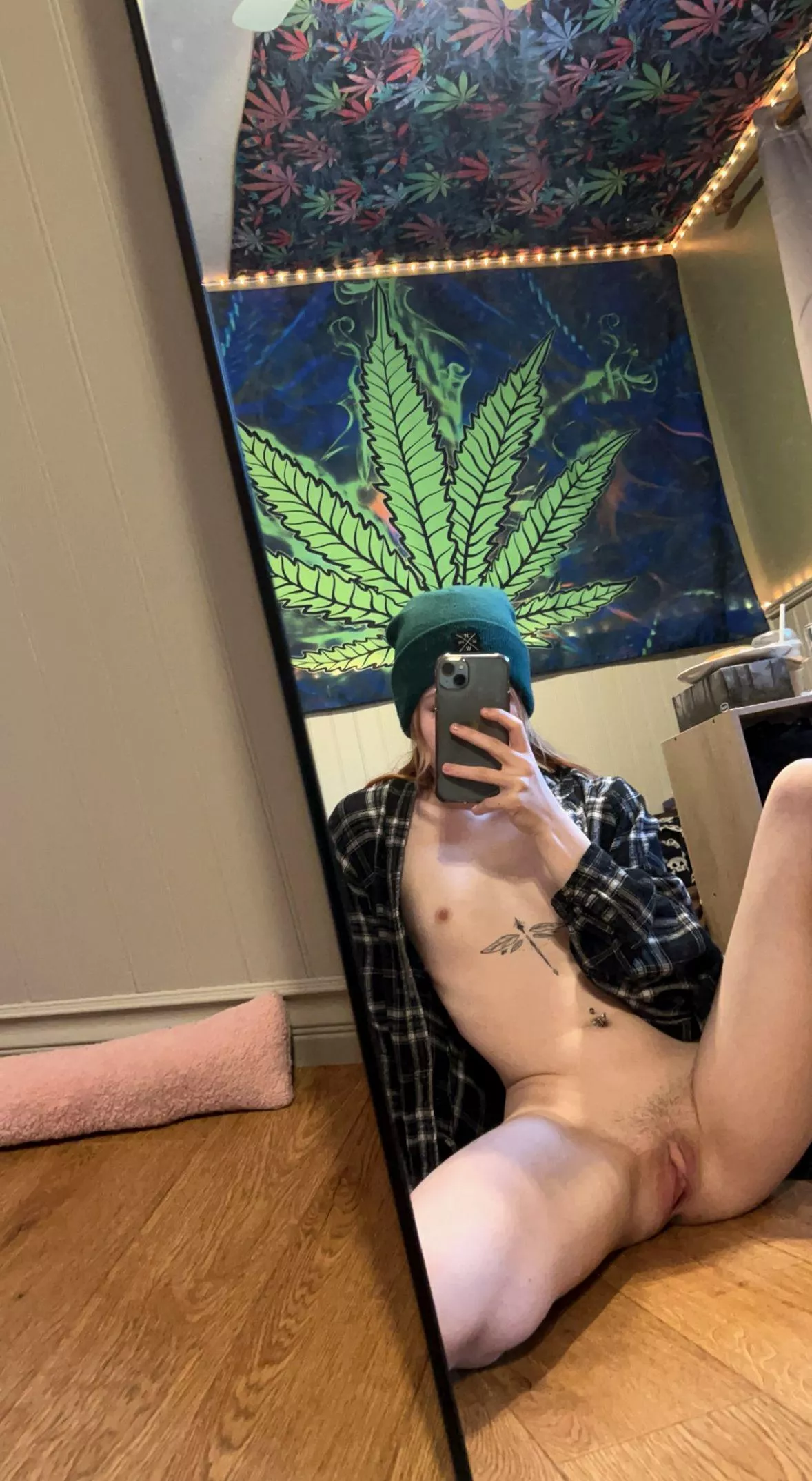 18F do you think these will grow more?