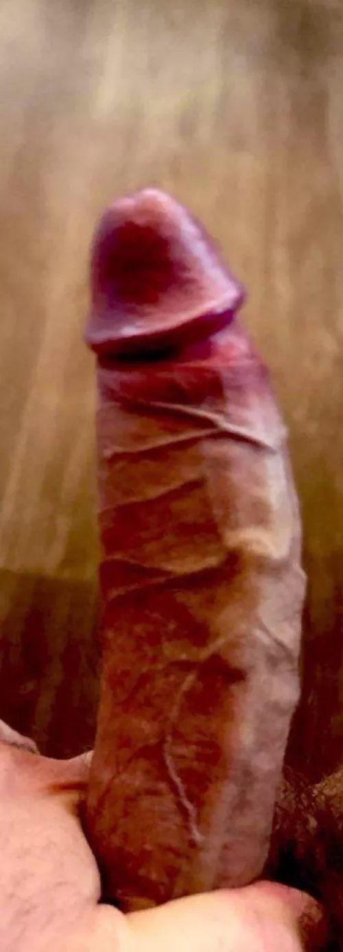 23cm BWC for the ladies in JHB