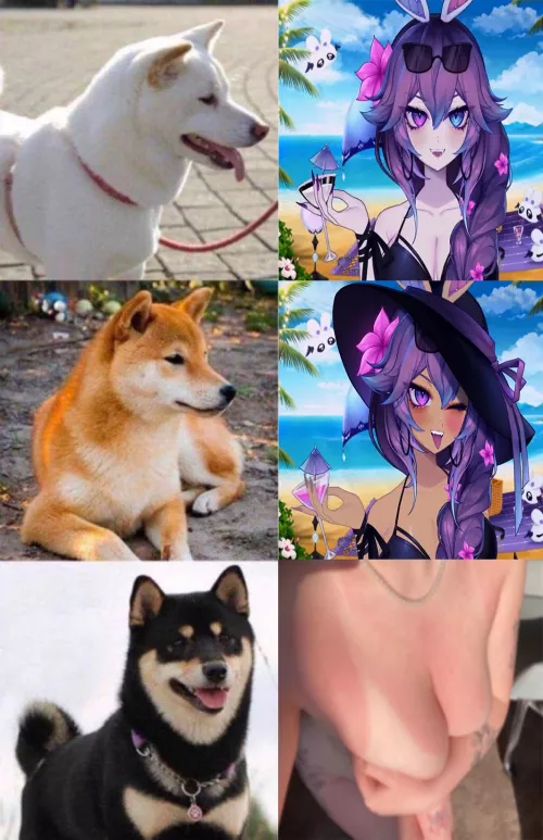 3 Types of CottontailVA