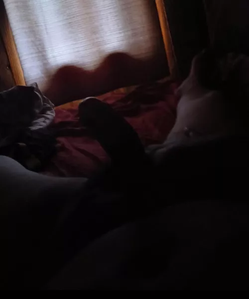 32M HTX713 any Women available 