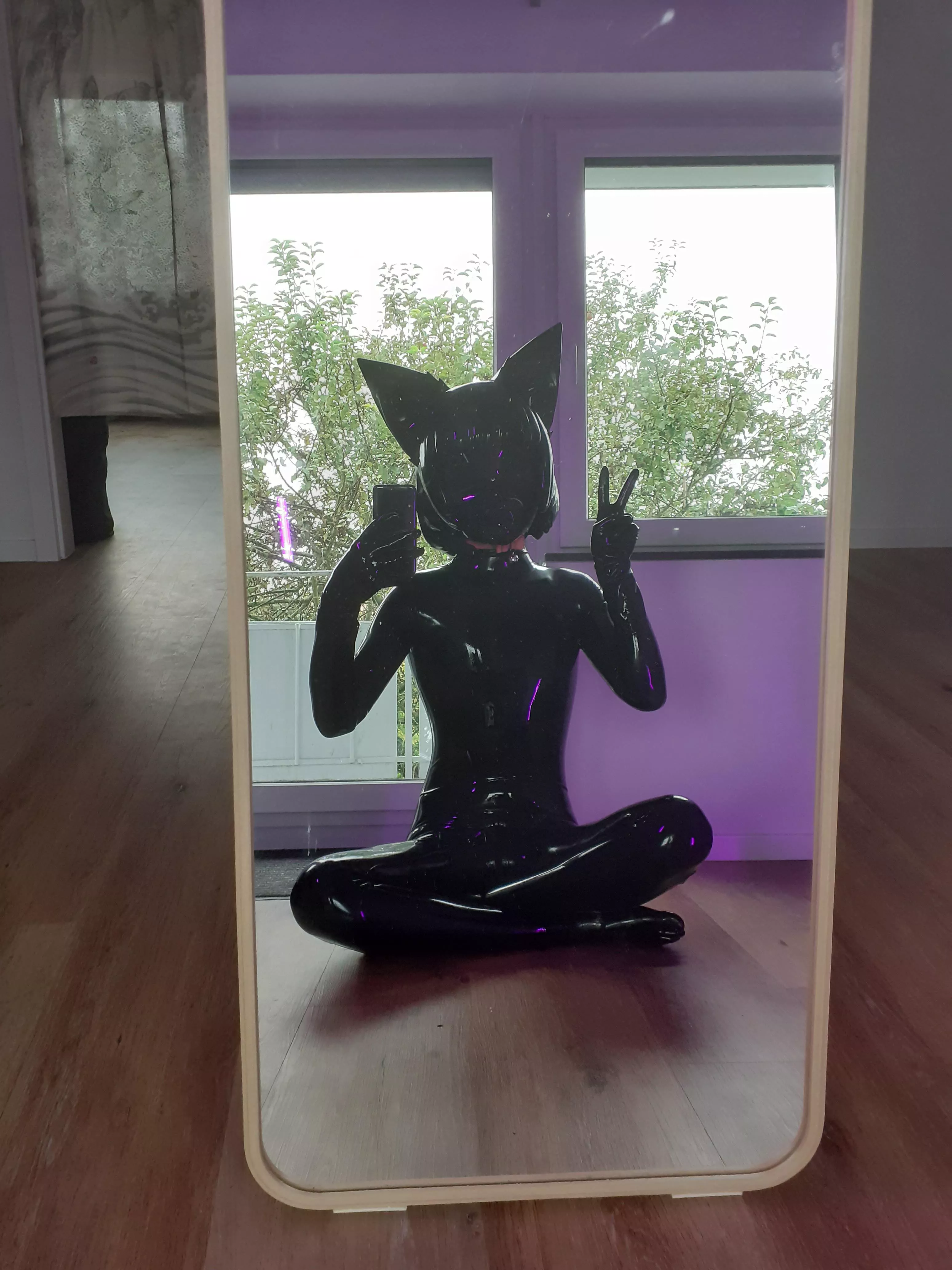 Any chance you're a fan of well-behaved cats? 🖤