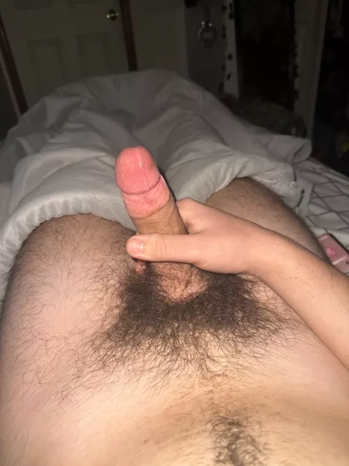 anyone like my hairy penis dripping w pre cum?