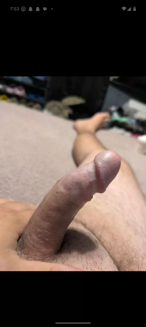 Anyone looking today in Springfield 