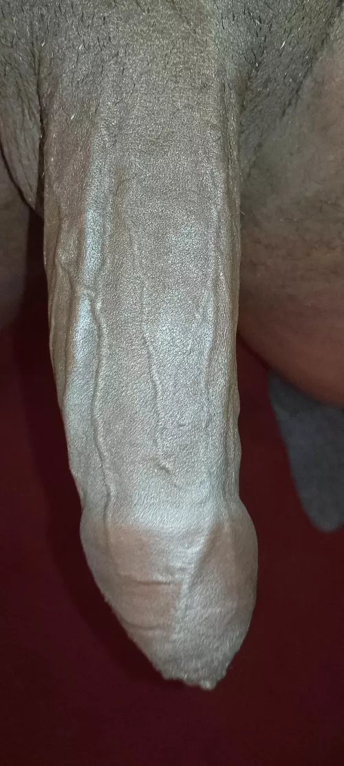 Anyone ready to lick each vein? 