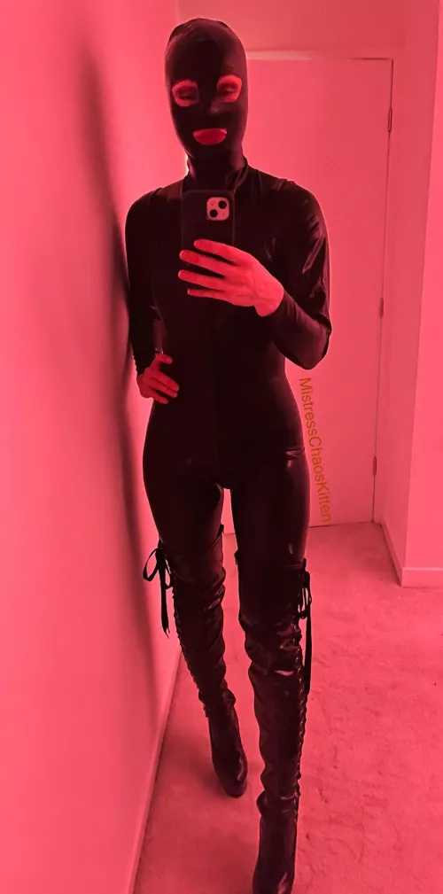 Catsuit caught your eye? Imagine what happens next under my command 🖤⛓️