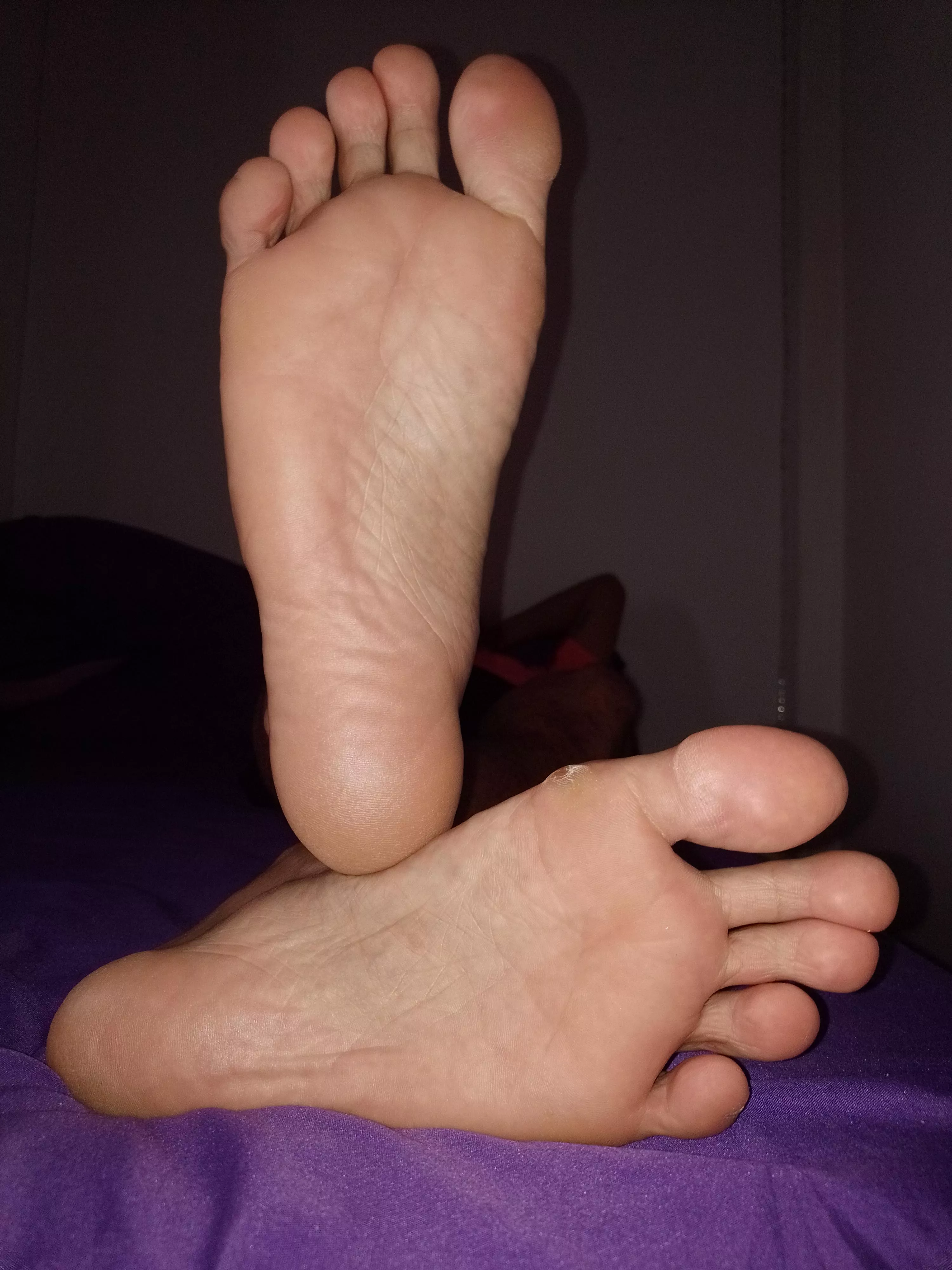 Christmas is about giving, and you’ll give your full devotion to my feet.