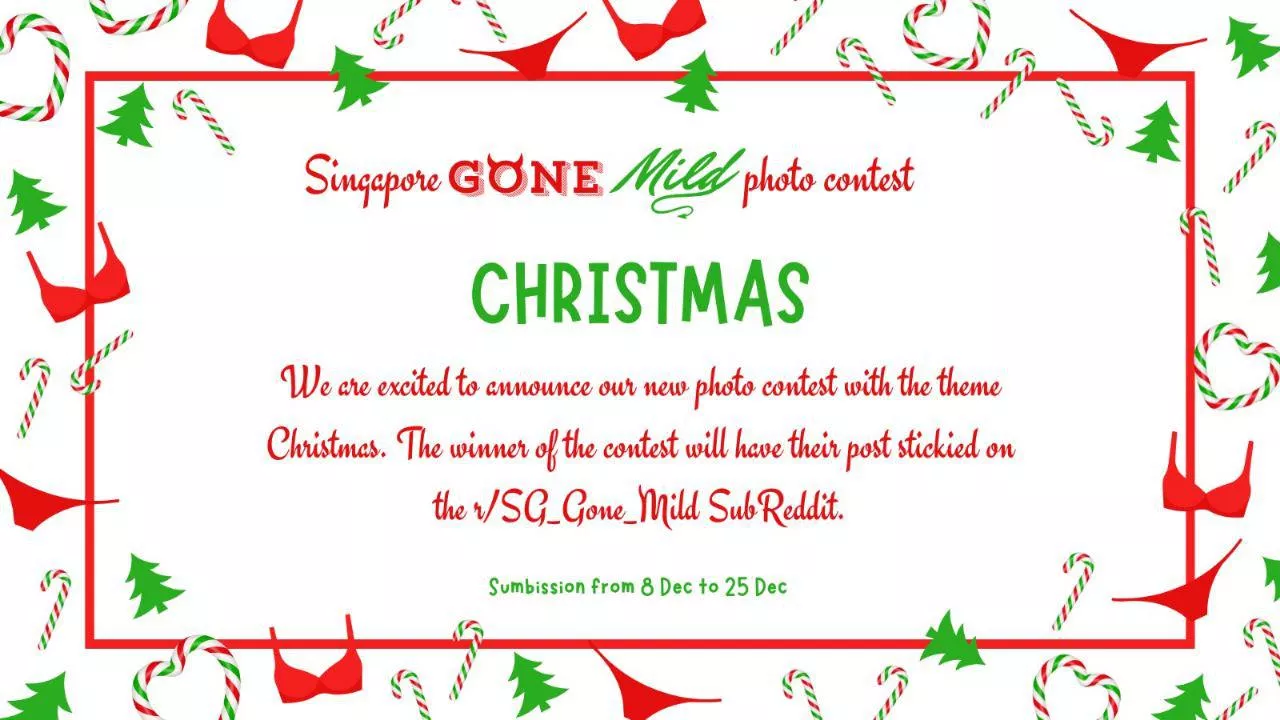 ✨ Christmas Photo Contest ✨