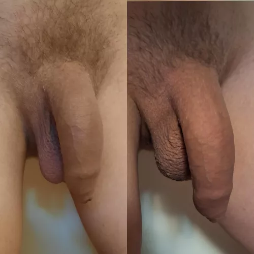 Comparison pic of my softie from few years back vs. my softie now when using supplements