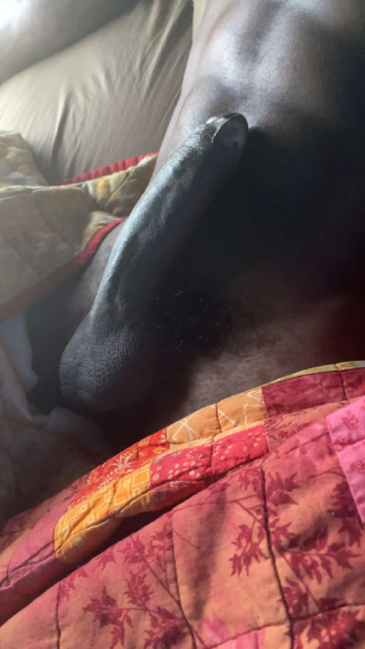 Dallas area 19 looking for frequent female fwb. Milfs don’t be shy to