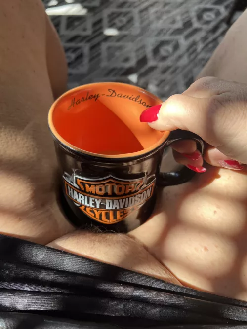 Do you like my Harley Davidson mug?