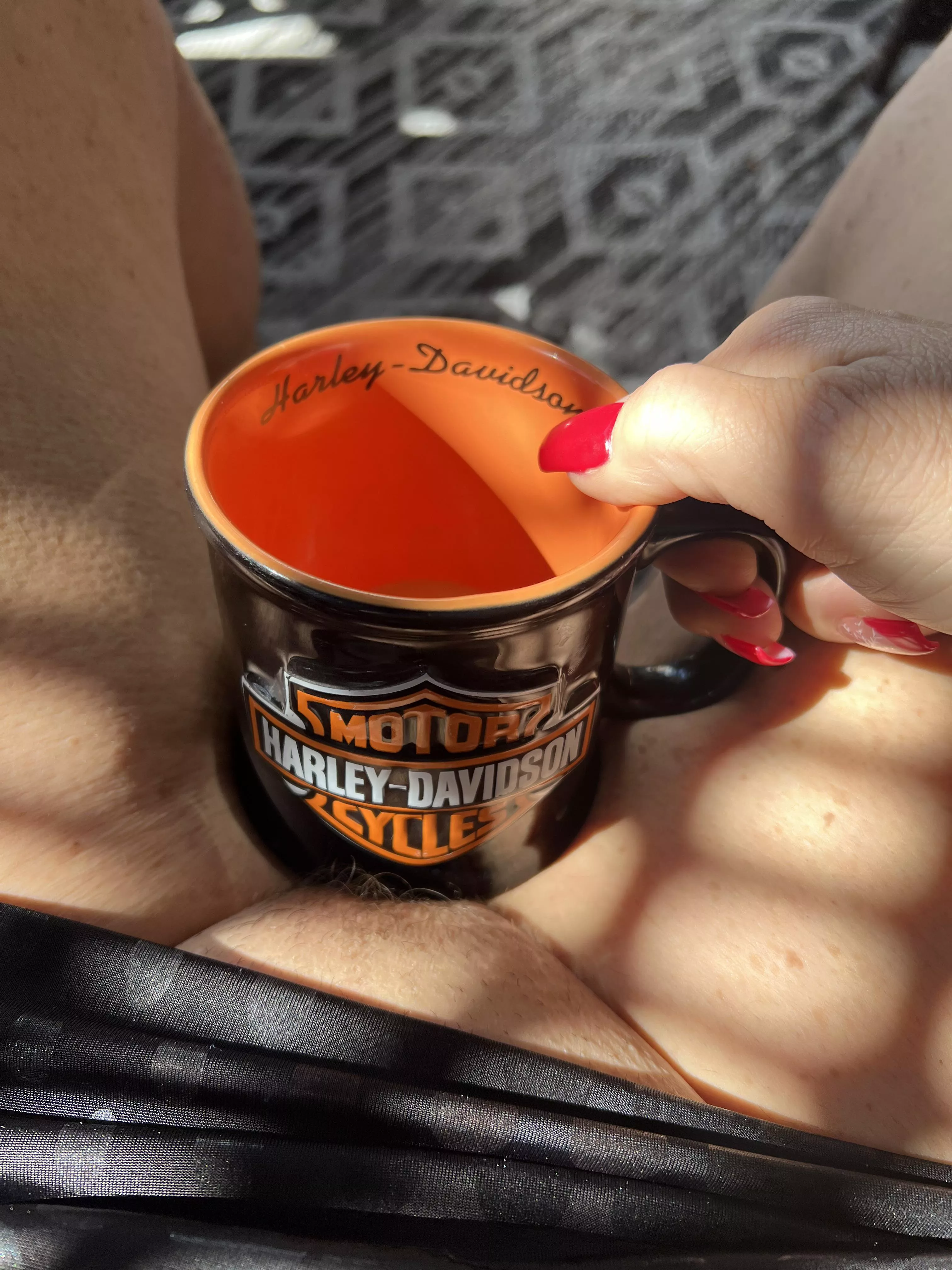 Do you like my Harley Davidson mug?