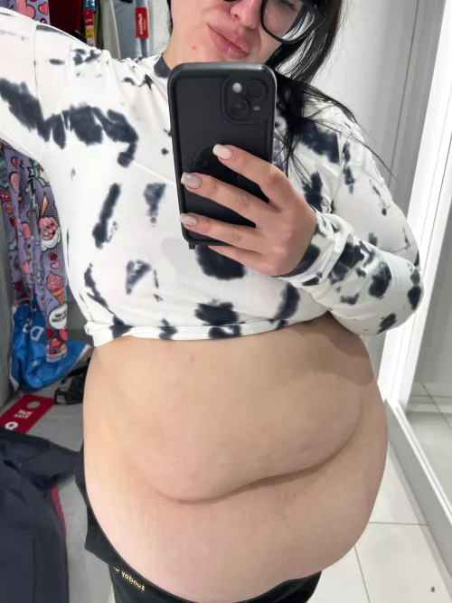 🍰Fat cow like to eat many cakes 🍰