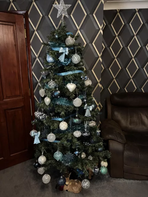 Feeling festive