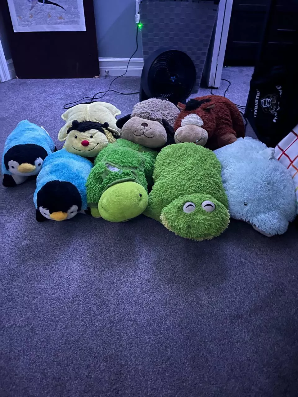 Found these adorable guys a few days ago what do I do to them??