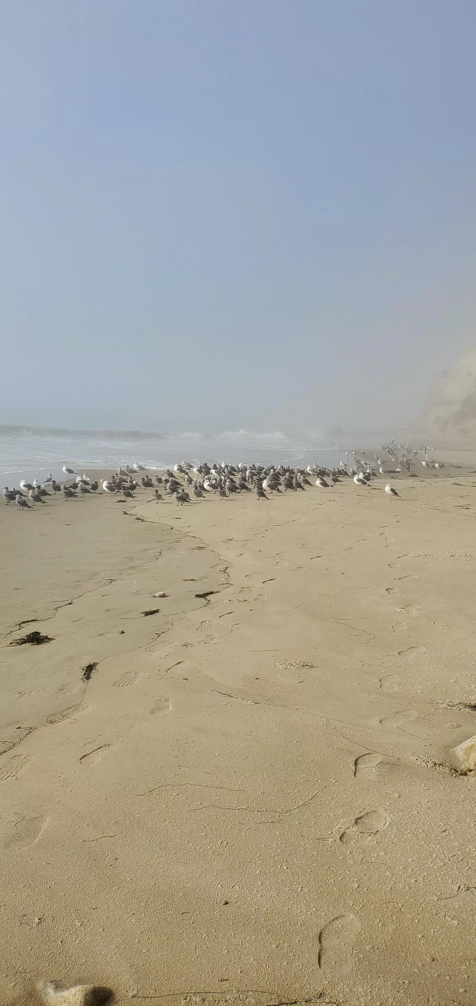 Going to be a beautiful day