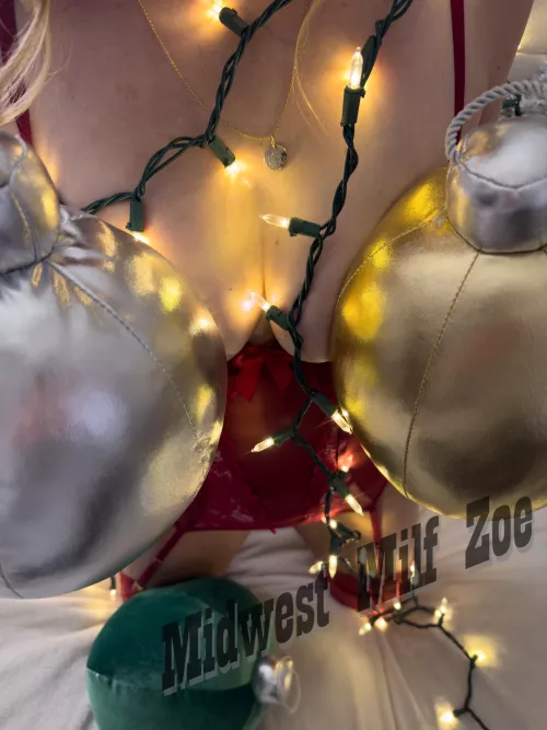 Got out some decorations today