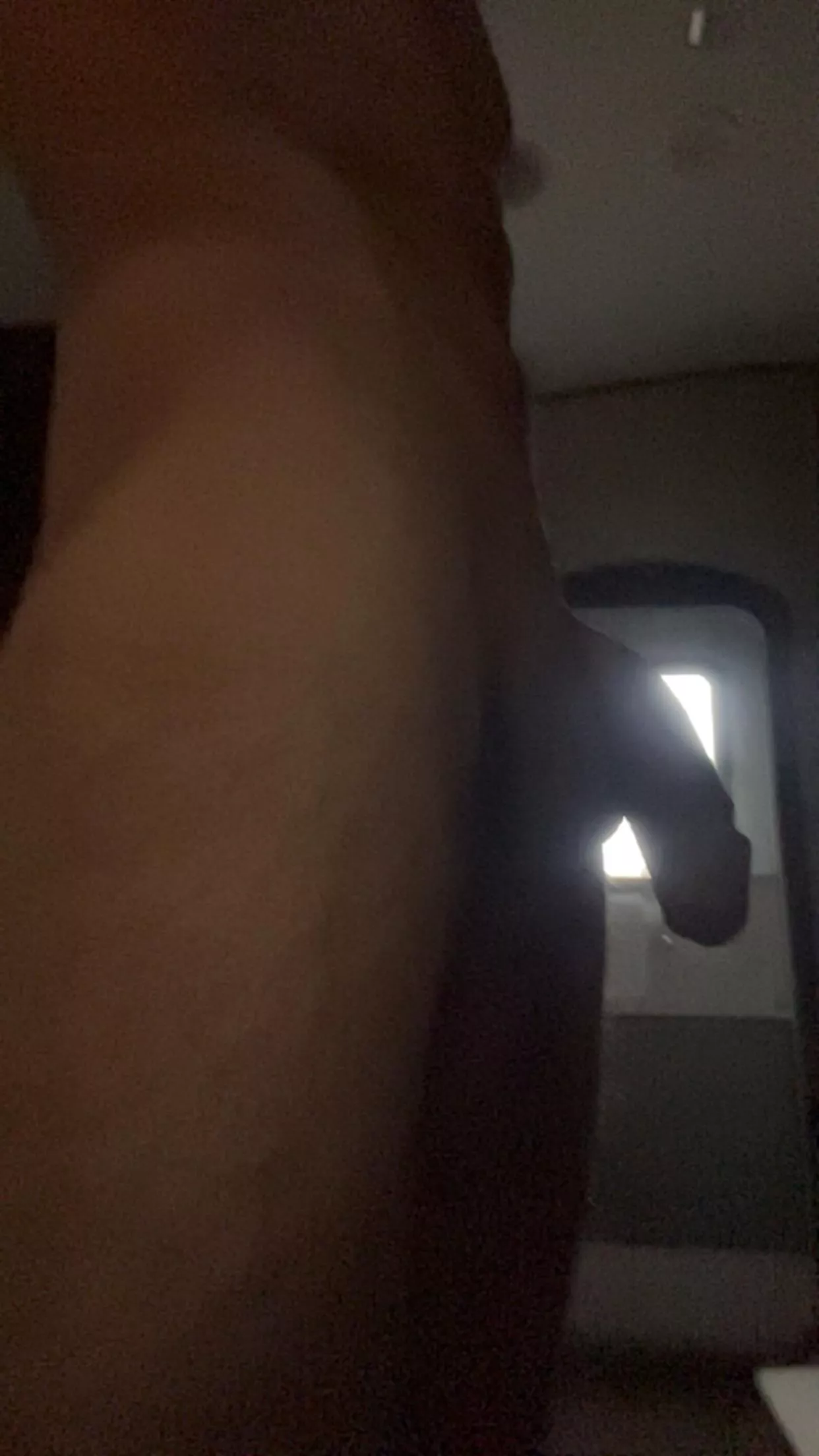 Had to jump at this lighting opportunity