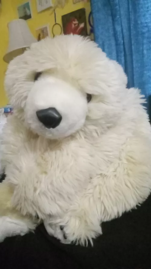 Help me name my plushie🧸