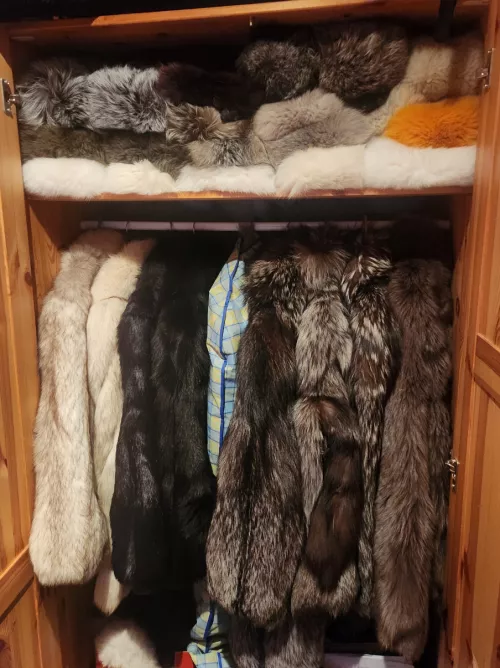 Here is my Furcollection