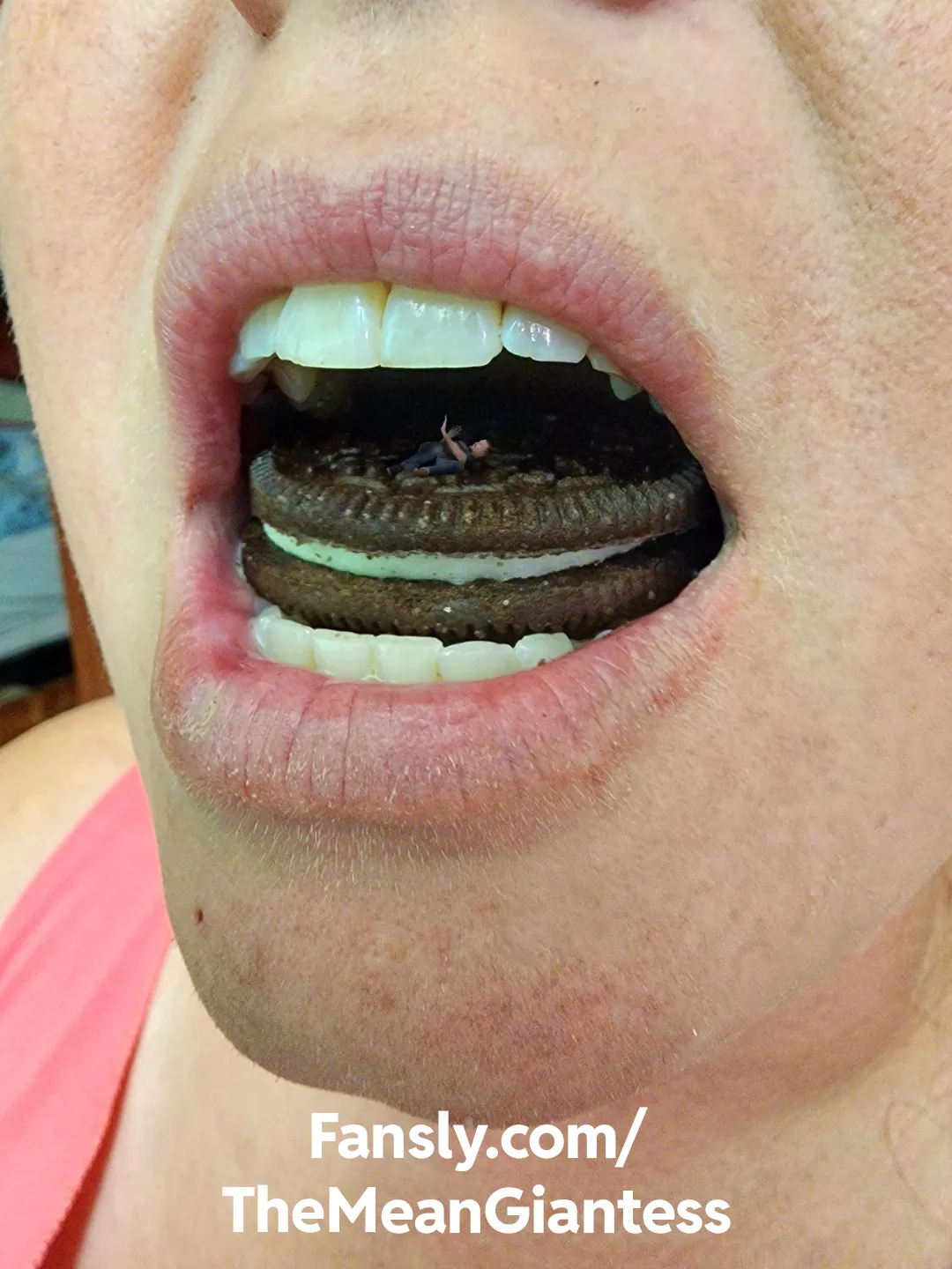 I found him on my Oreo. That's one way to earn a trip straight to my stomach. I hope he struggles as I digest him alive.{f} 😋