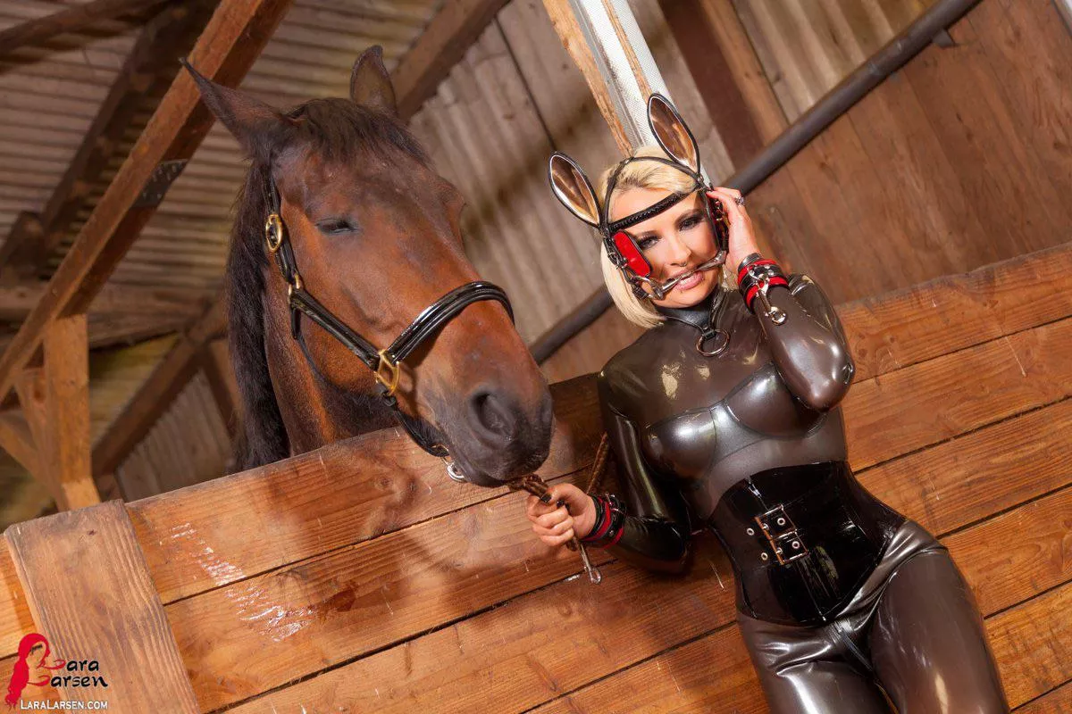 I love watching ponies in their natural environment.