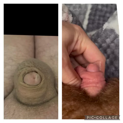 I think I humiliated this micro with this comparison.. but I’ll let you decide 😛