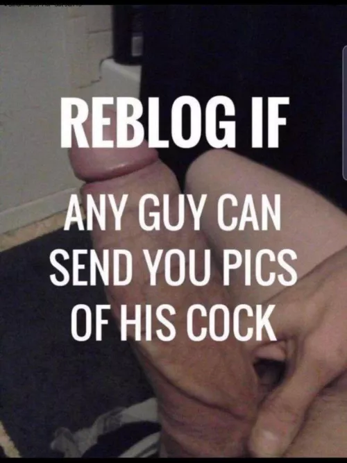 I’ll rate your boner, please 