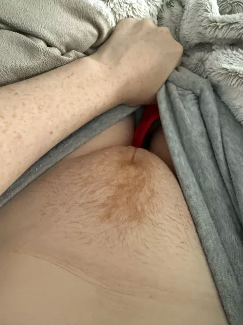 I’m thinking of growing it in…thoughts? 