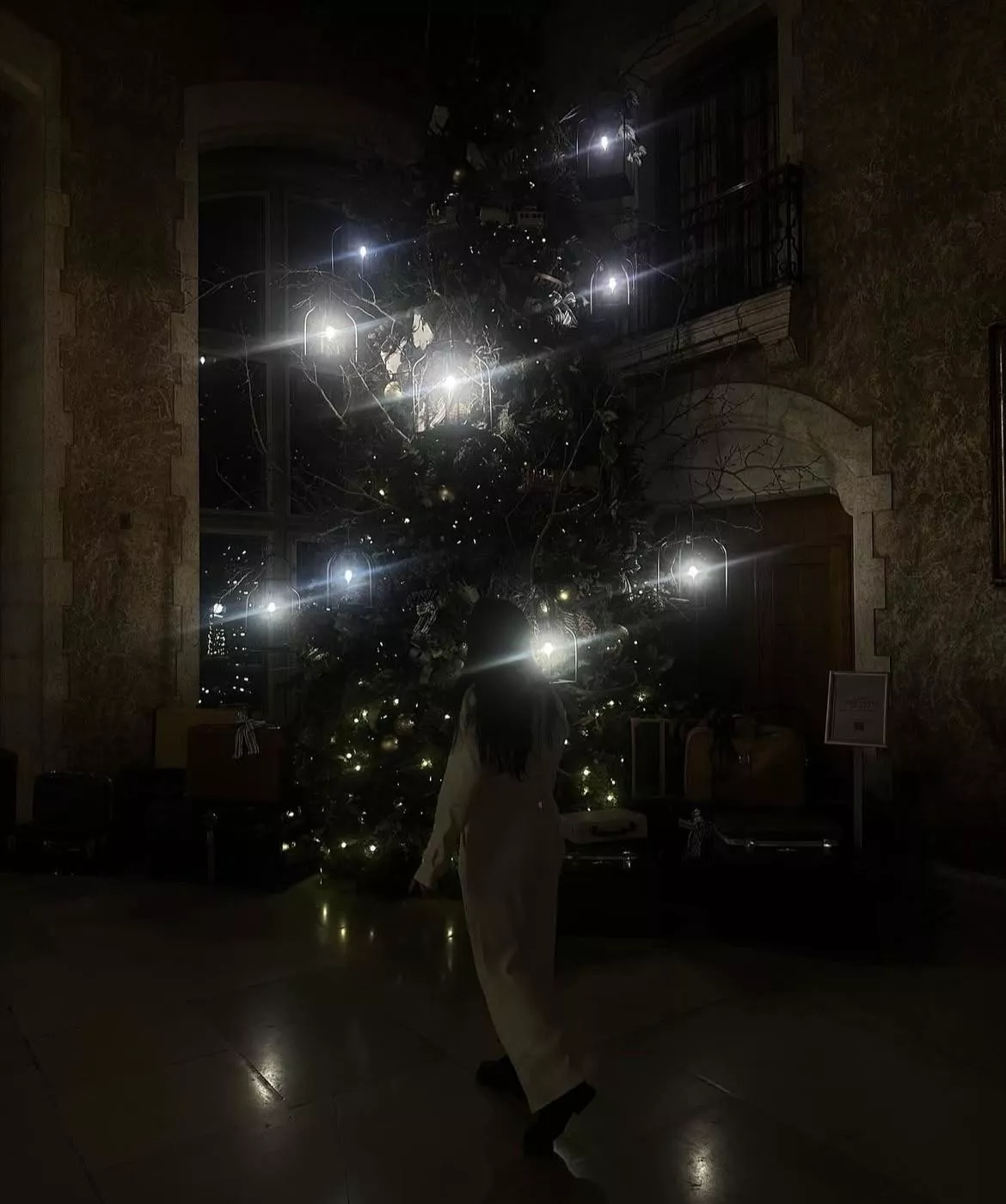 In Cotton, We Trust, she knows how to light our Christmas up 