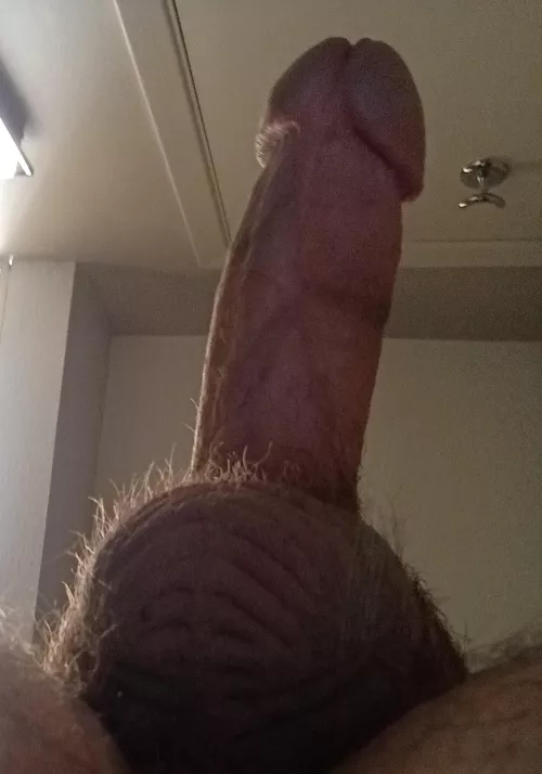 Last thing you remember seeing from last night