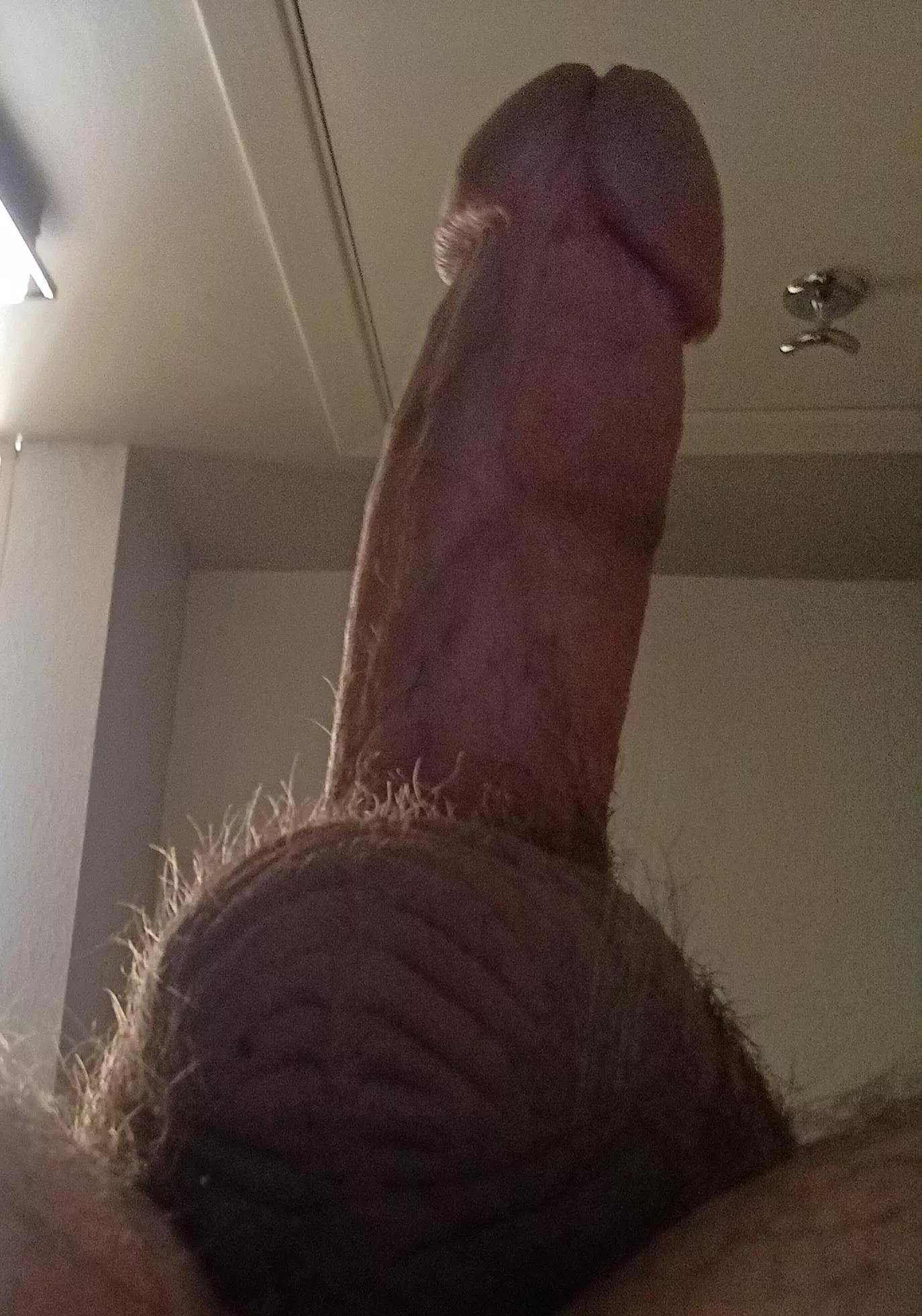 Last thing you remember seeing from last night