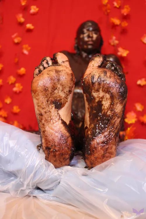 Mud with the autumn leaves