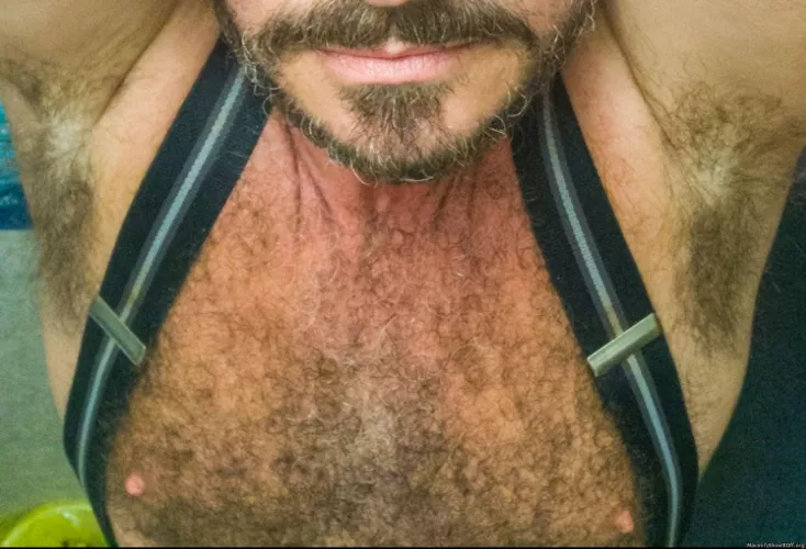 My favorite pits n tits pic